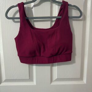 Ribbed Scoop Sports Bra in Berry Plum